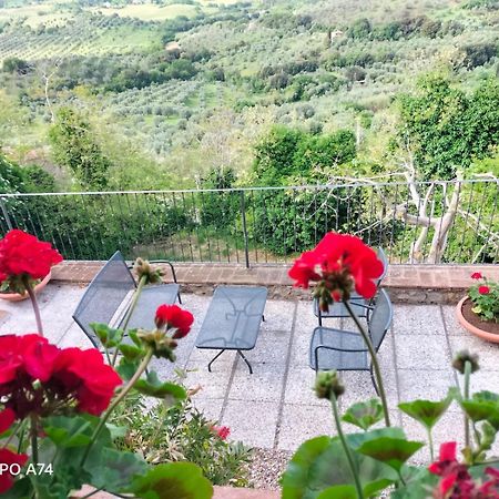 Tenuta Di Montemassi Fattoria Экстерьер фото